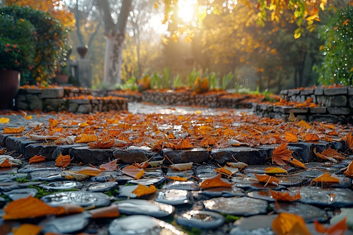 Les feuilles mortes peuvent transformer votre jardin : Voici comment les utiliser